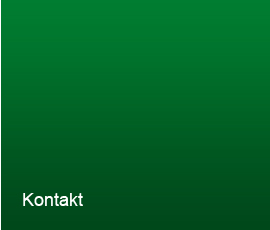 tailored solutions | Research Services Hajós