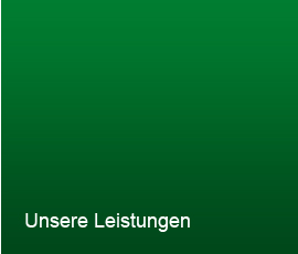 tailored solutions | Research Services Hajós